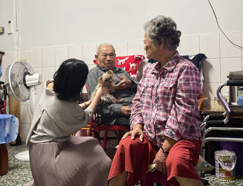 奇奇離世一週年：那些關於愛、逃避與回憶的痕跡